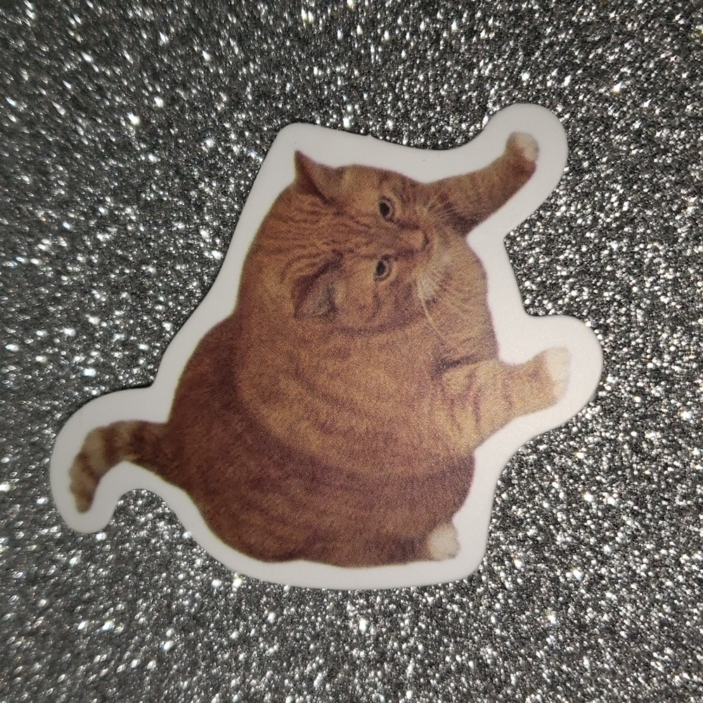 ANIMAL NATURE waterproof Sticker cat kitten